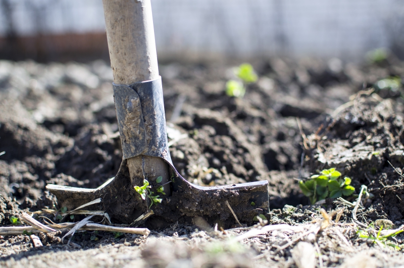 jardinerie-MANDELIEU LA NAPOULE-min_equipment-2047314